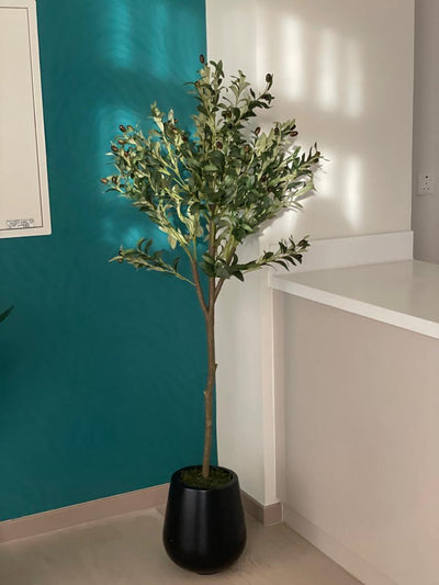 Artificial Olive 1.6m in ceramic