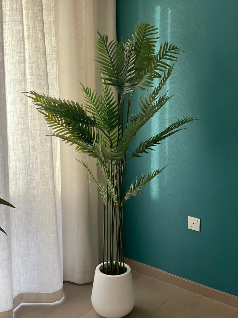 Artificial Areca 1.8m to 2m