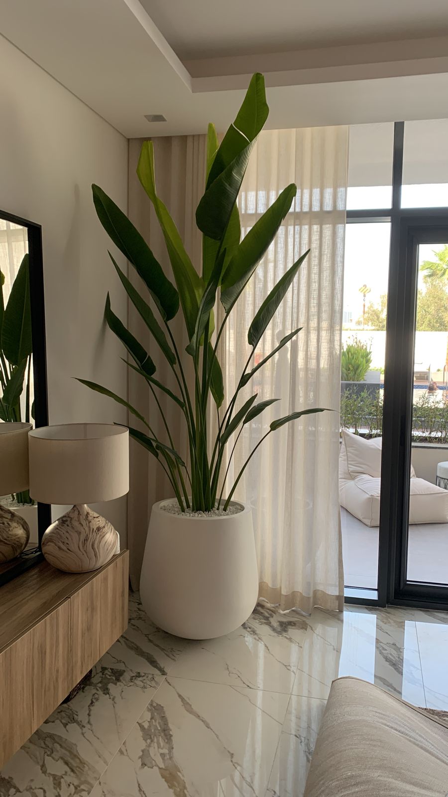 Travellers Palm Premium in Fiber Cement