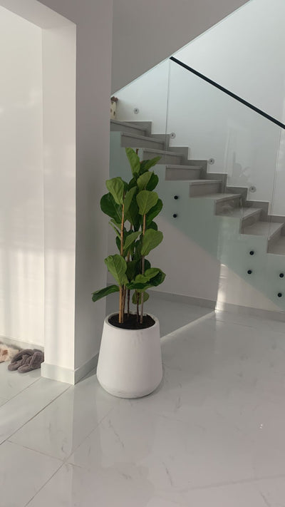 Fiddle XL|180cm to 2m