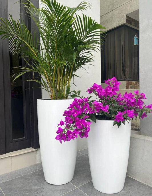 Outdoor Bundle  in white ceramic Pots