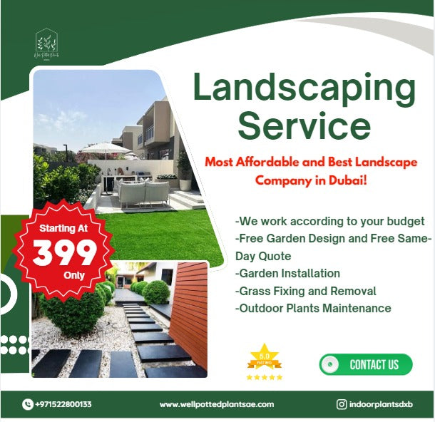 Outdoor Plants Maintenance Per Month