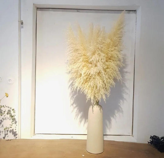 Pampas Grass Arrangement in a Classy Pot