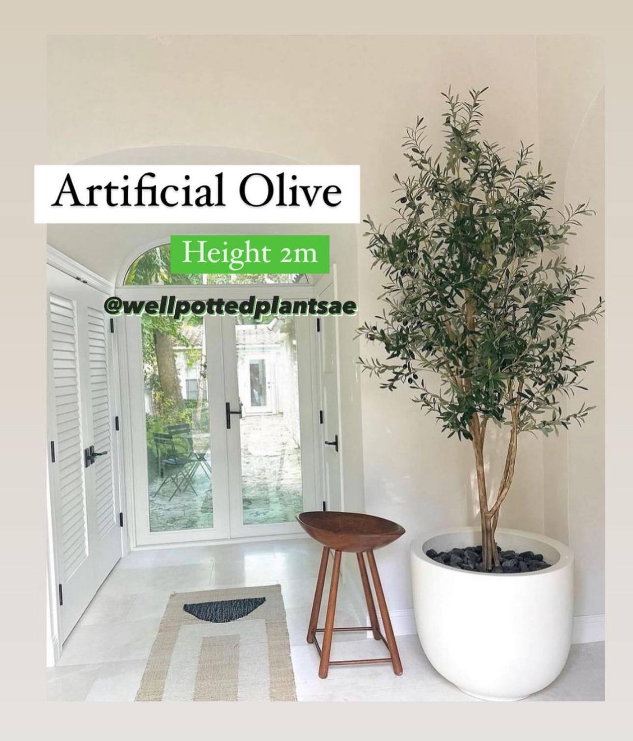 Artificial Olive Tree in Fiber 2m