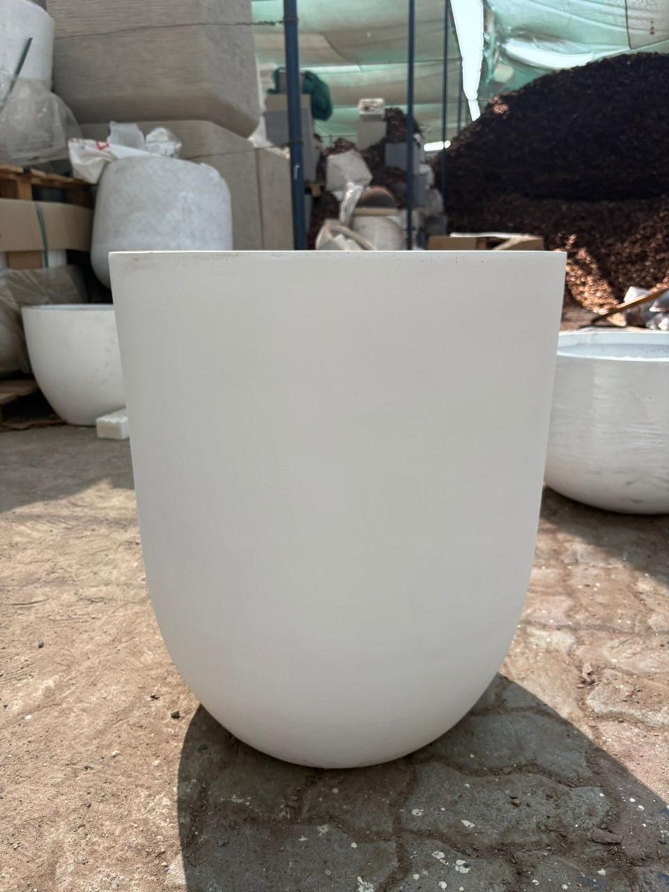 Outdoor and Indoor Large Pot Plant UAE. White planter pot on a stone surface with other planters in the background