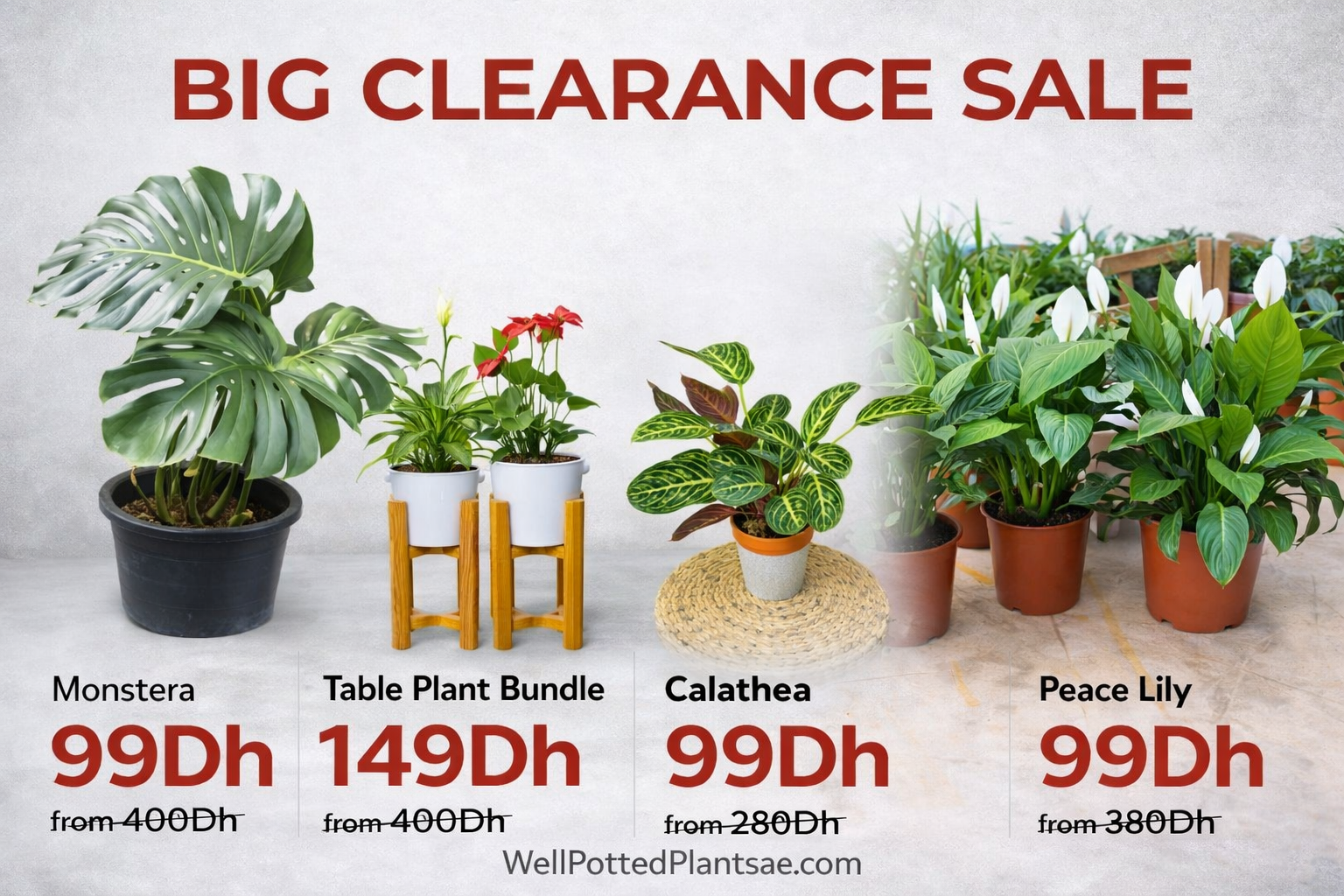 Clearance sale sign with potted plants on a white background