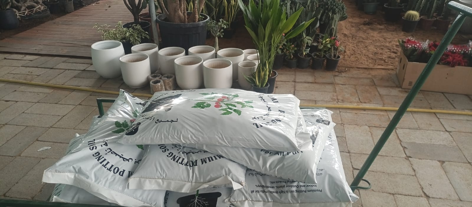 Premium Quality PROMO Plants UAE. Several bags of soil are placed on a tarp outside, with gardening pots and plants in the background.