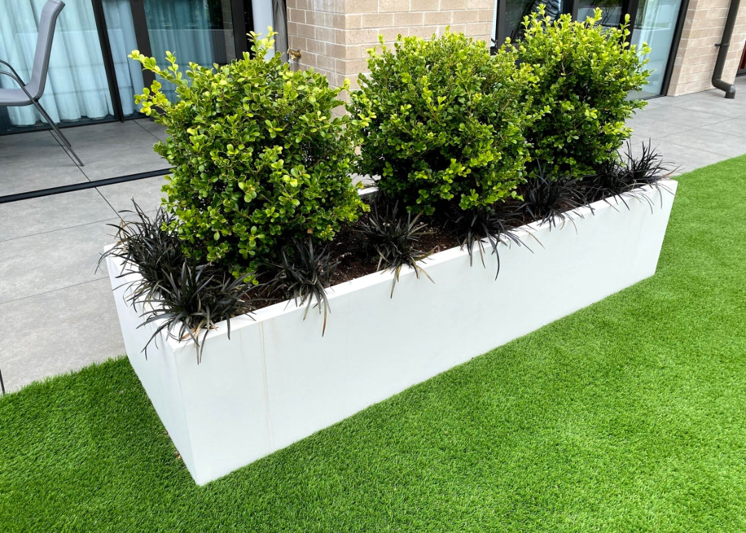 Rectangle Pots for Plants. White rectangular planter with green bushes on a grassy area