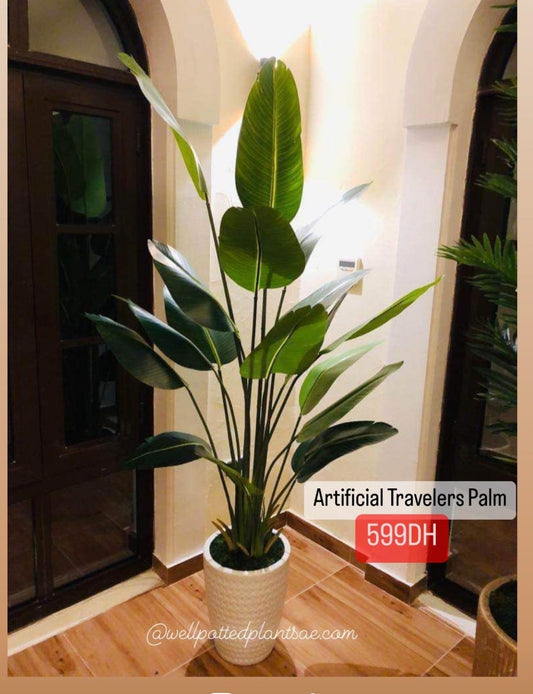 Artificial travellers palm