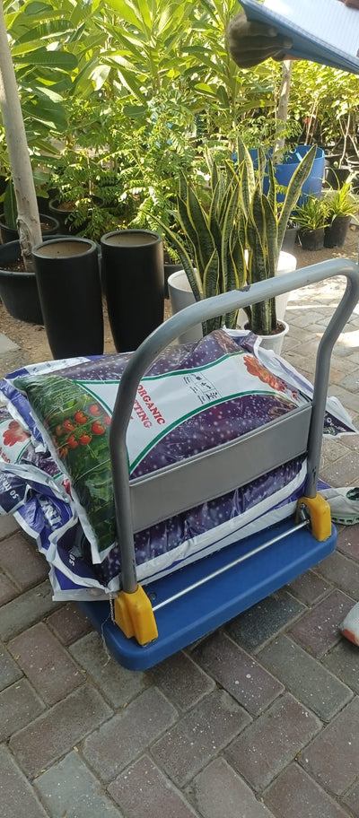 Soil Premium Quality PROMO Plants UAE.