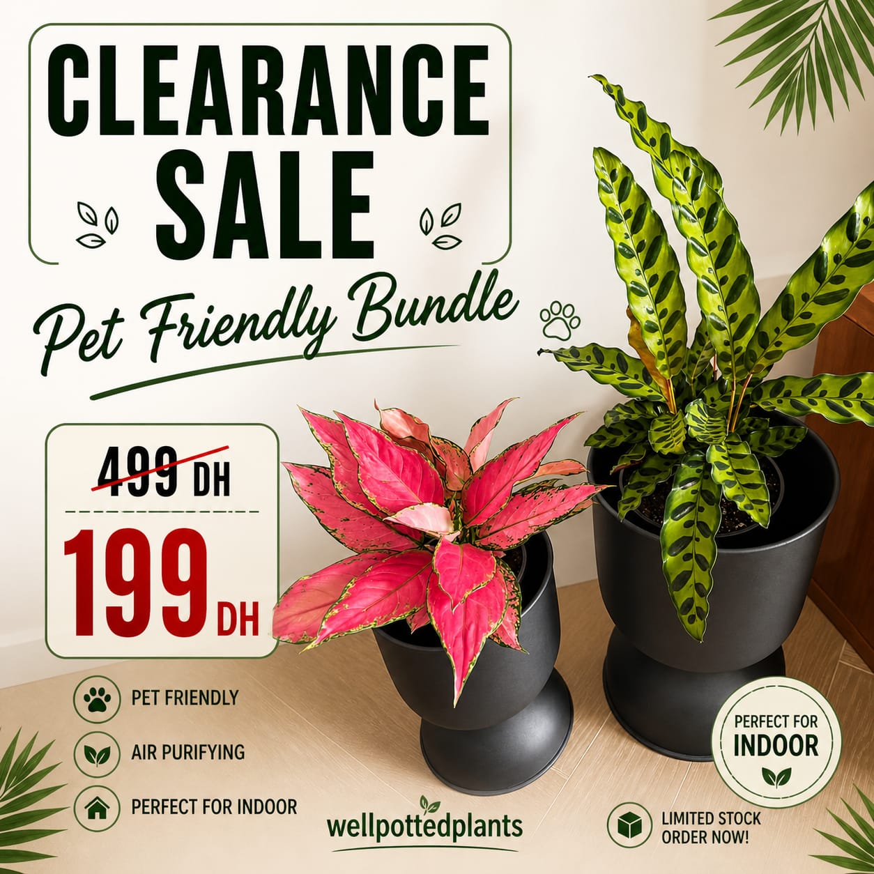 Special Clearance Sale for the Month of May UAE