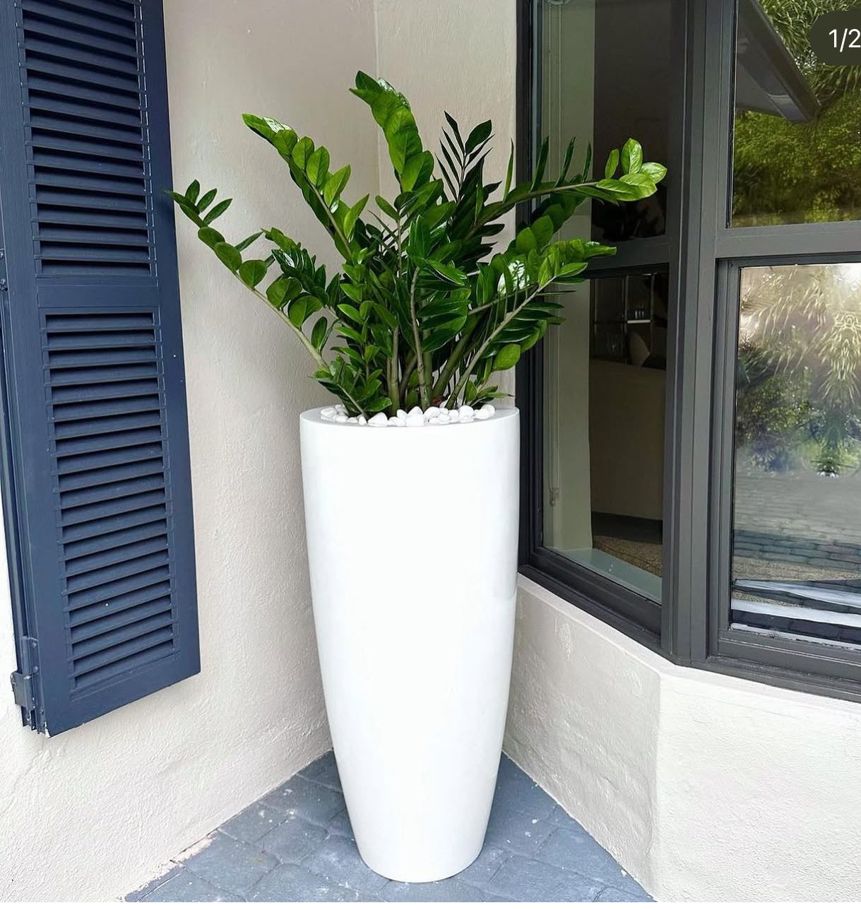 Zizi Premium Quality in Fiber Long Glossy Pot Plants UAE.