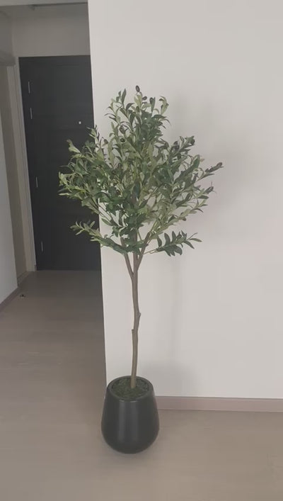 Artificial Olive 1.6m in ceramic