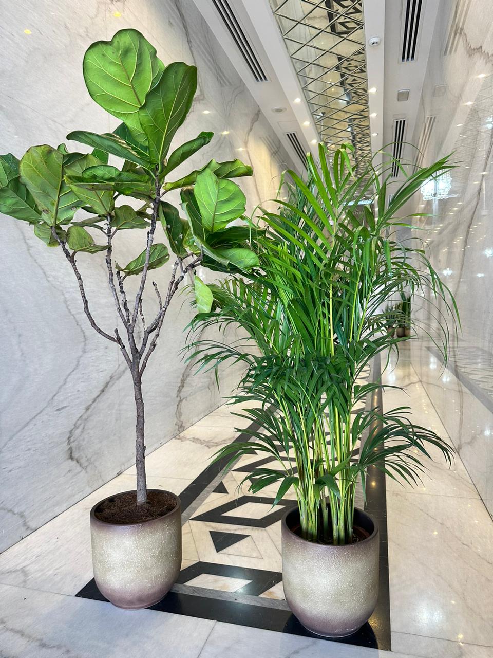 Clearance Sale Air Purifying Bedroom bundle in Beige PROMO NEW