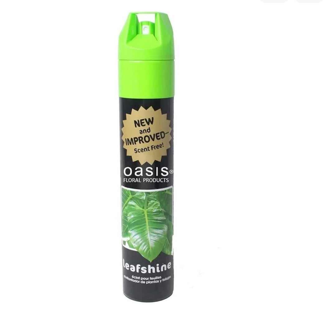 Shine Spray Premium Non Toxic Pet Friendly Plant Moisturizer