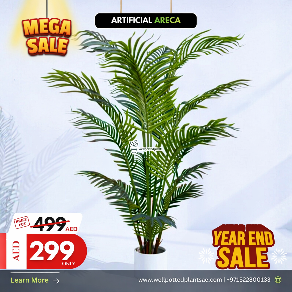 Mega Sale Artificial Plant Areca
