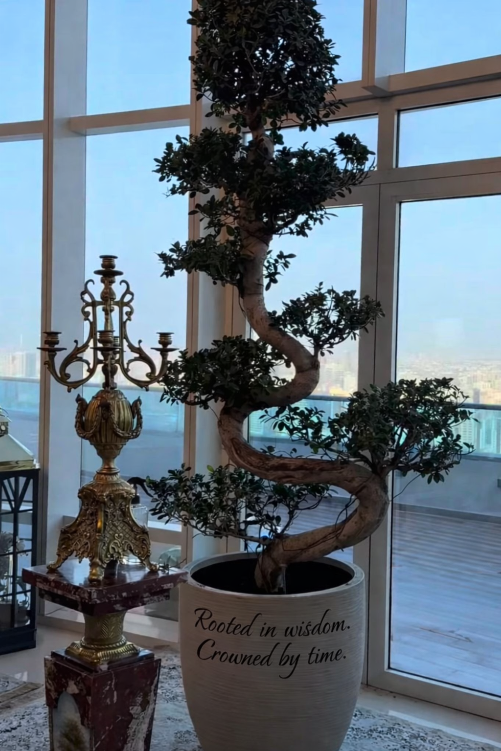 Bonsai Large s shape premium in fiber