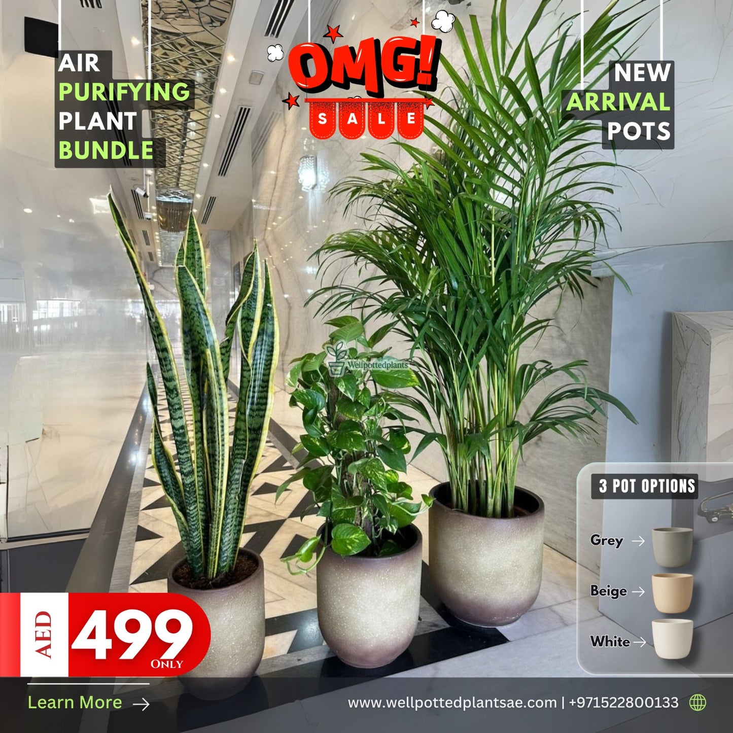 Air Purifying Plant Pet Friendly Bundle in Beige NEW