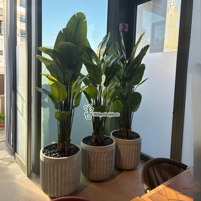 Artificial Giant Birds of Paradise Premium in Rustic Fiber Pot