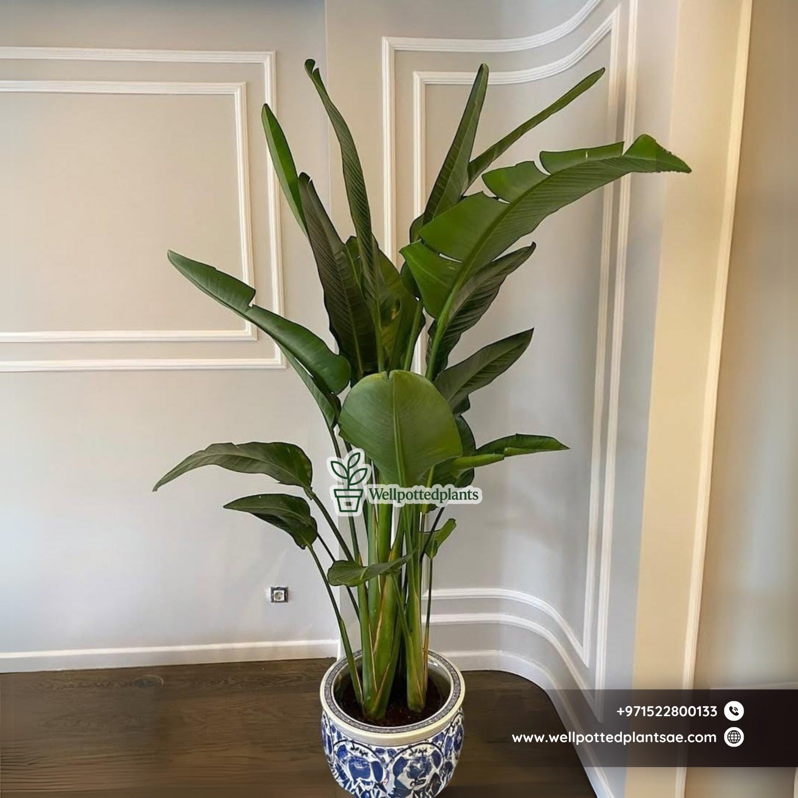 Chinese Classic Ceramic Pot Hand Made