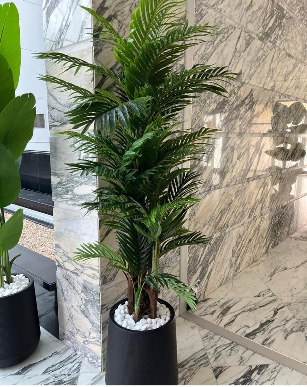 Artificial Plants Areca 180cm Premium Quality UAE