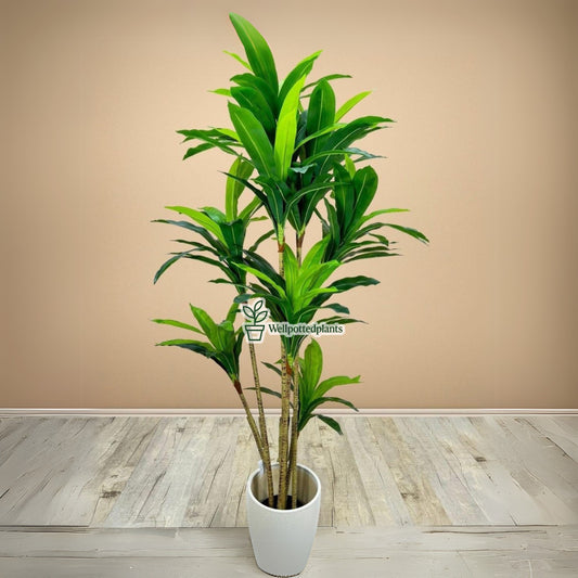 Artificial Dracaena