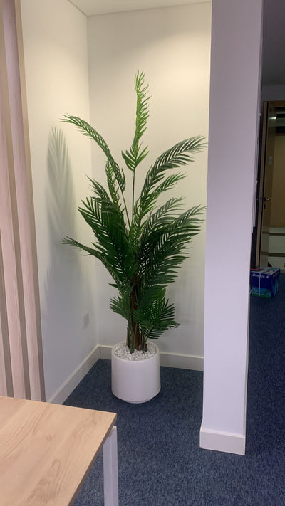 Artificial Premium Areca 1.8m