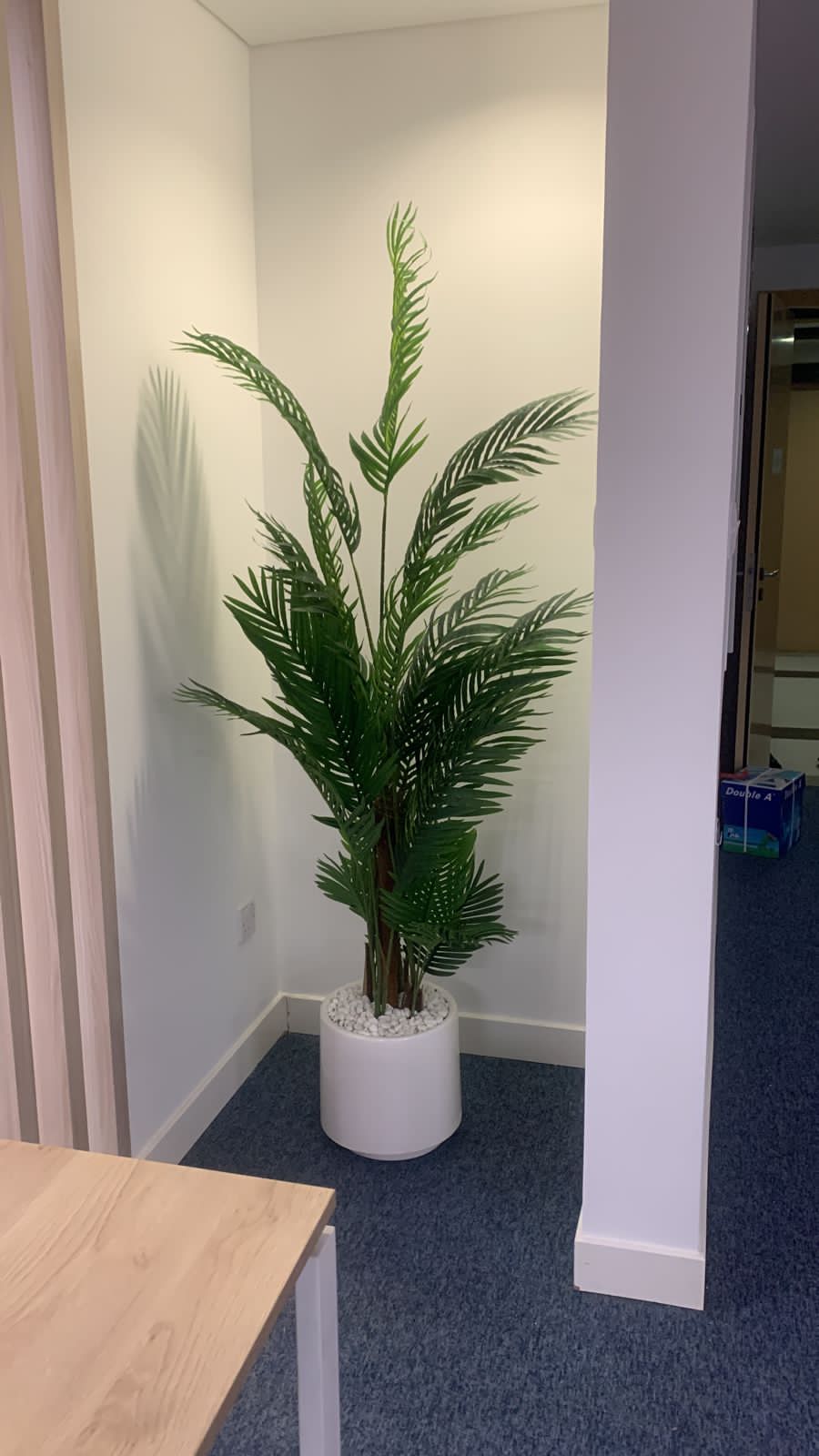 Artificial Premium Areca 1.8m