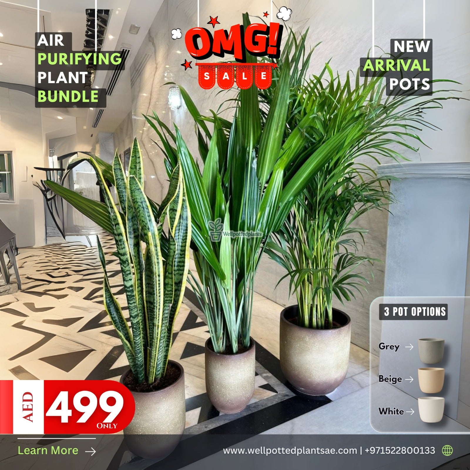 Air Purifying Plants in Concrete Grey or Beige 2+1 NEW