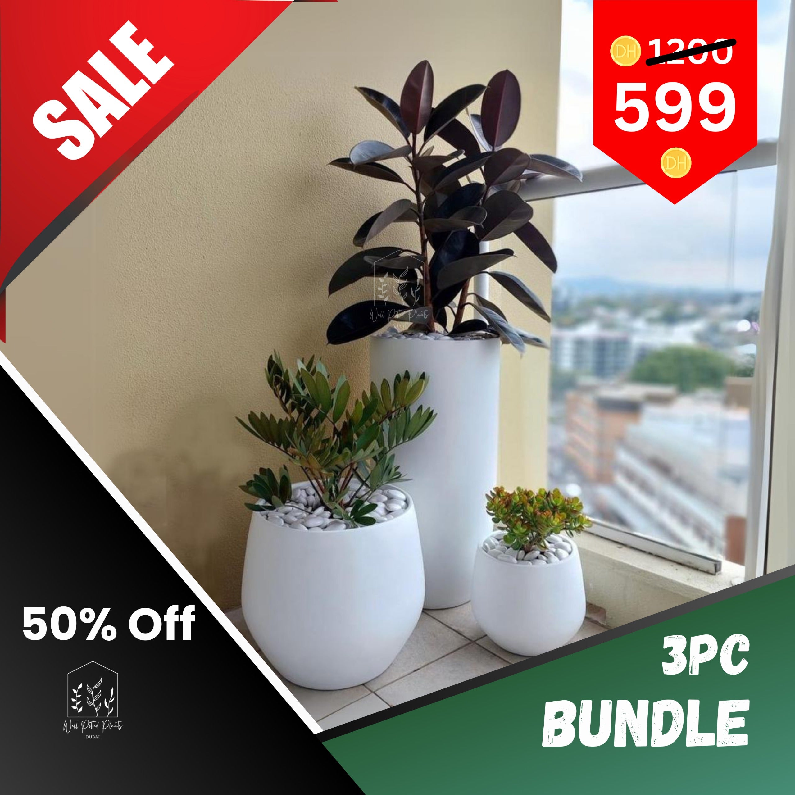 Outdoor Plants Bundle in Ceramic 3pc