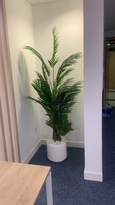 Artificial Premium Areca 1.8m