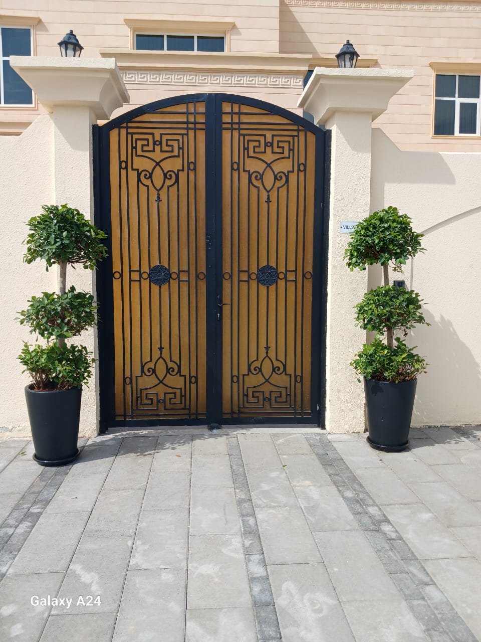 Outdoor Plants Bundle XL Trees in Black Pot New