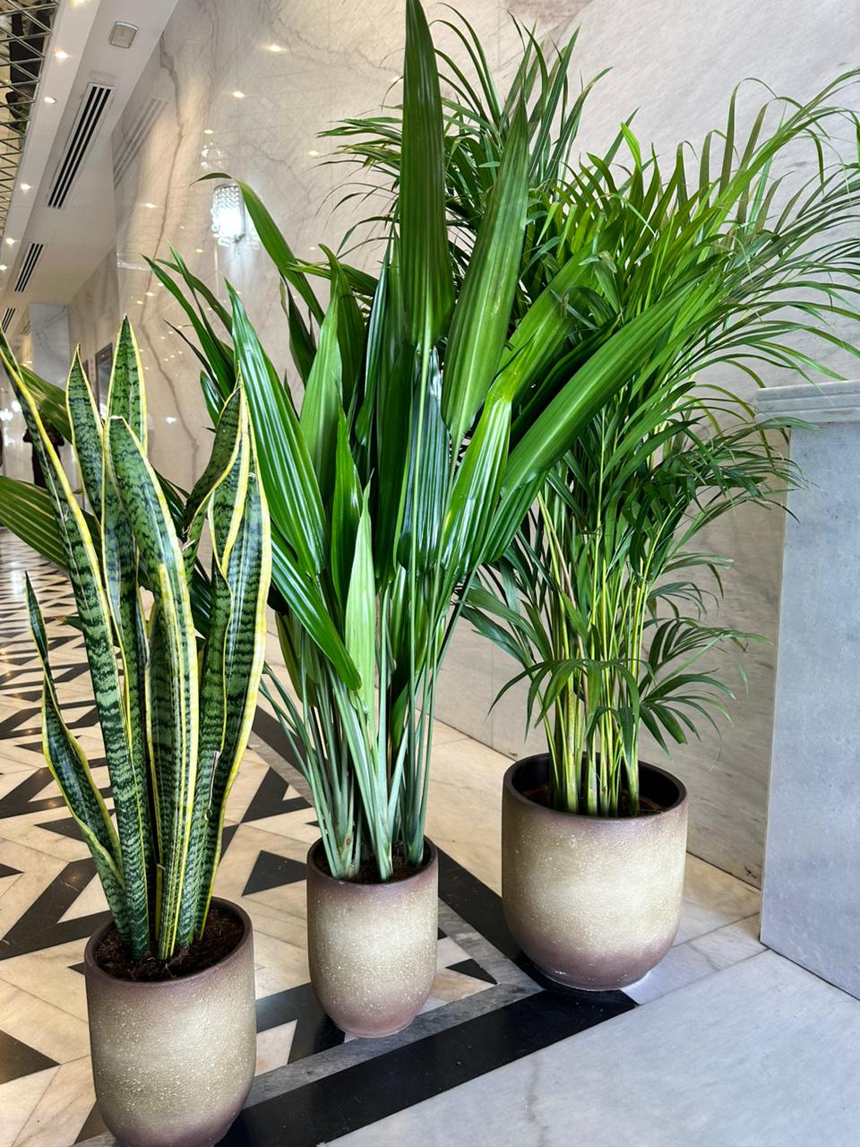 Air Purifying Bedroom Bundle in Beige NEW