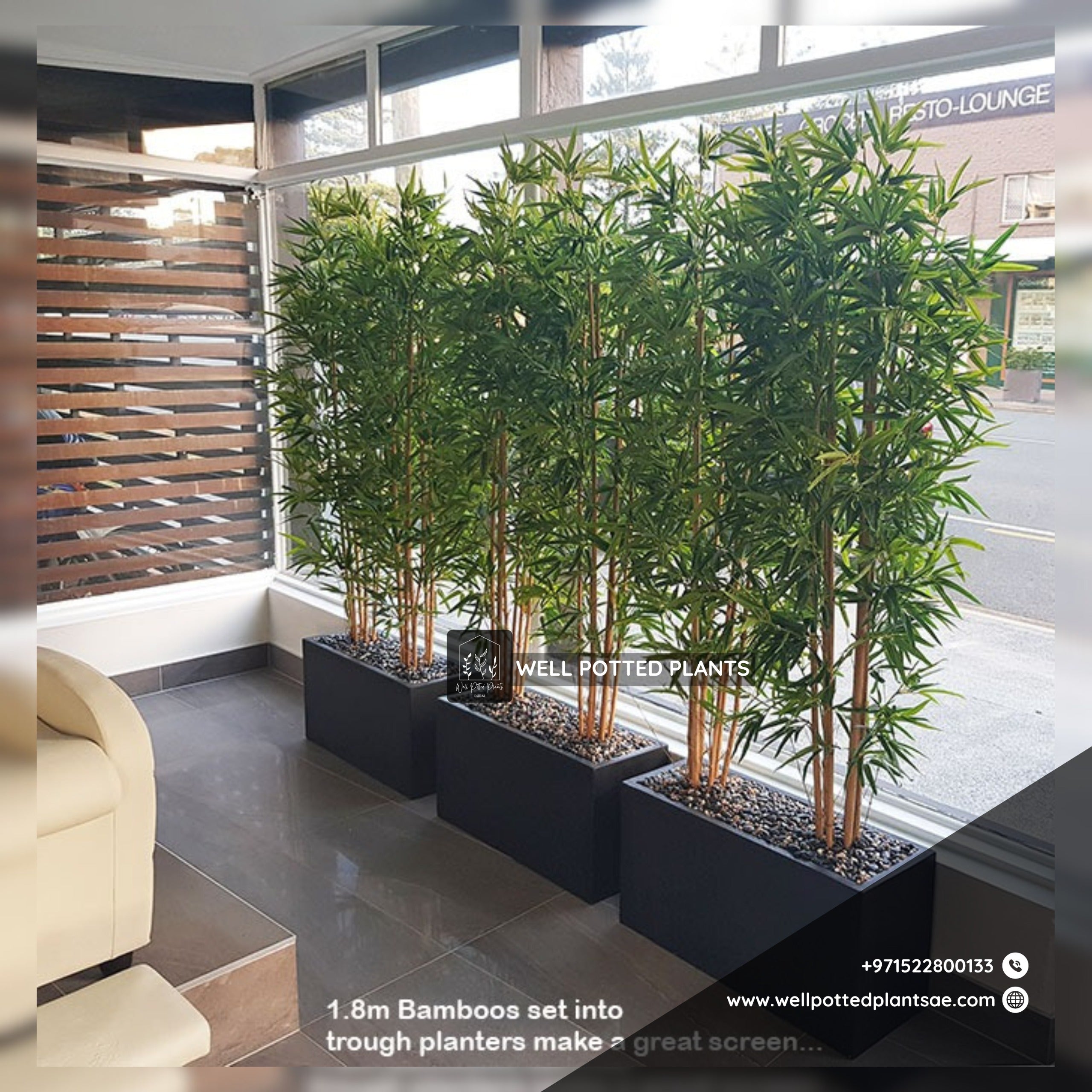 Artificial Bamboo Arrangement in Fiber Black Privacy Plants