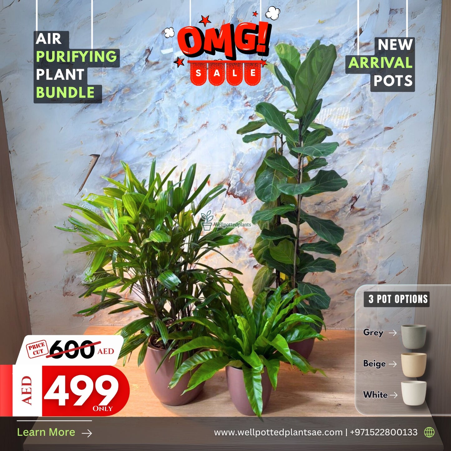 Air Purifying Bundle 2+1 NEW