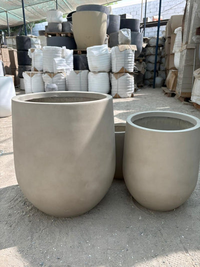 Large Outdoor Pot Plant UAE