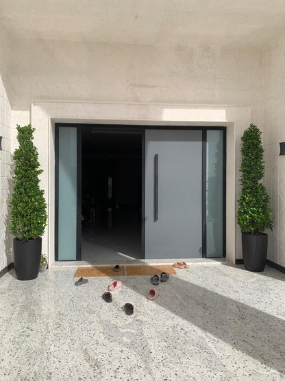 Outdoor Plant Cone Shape Ficus Bushy 2.5m to 3m