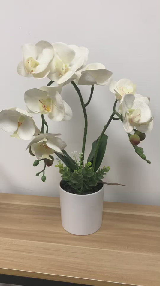 Artificial Orchid