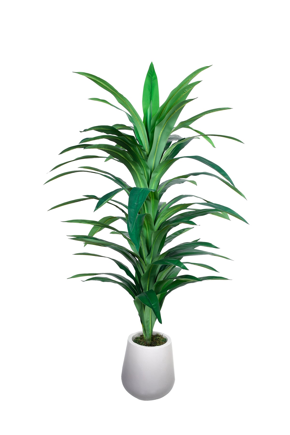 Artificial Yukka in Fiber Pot