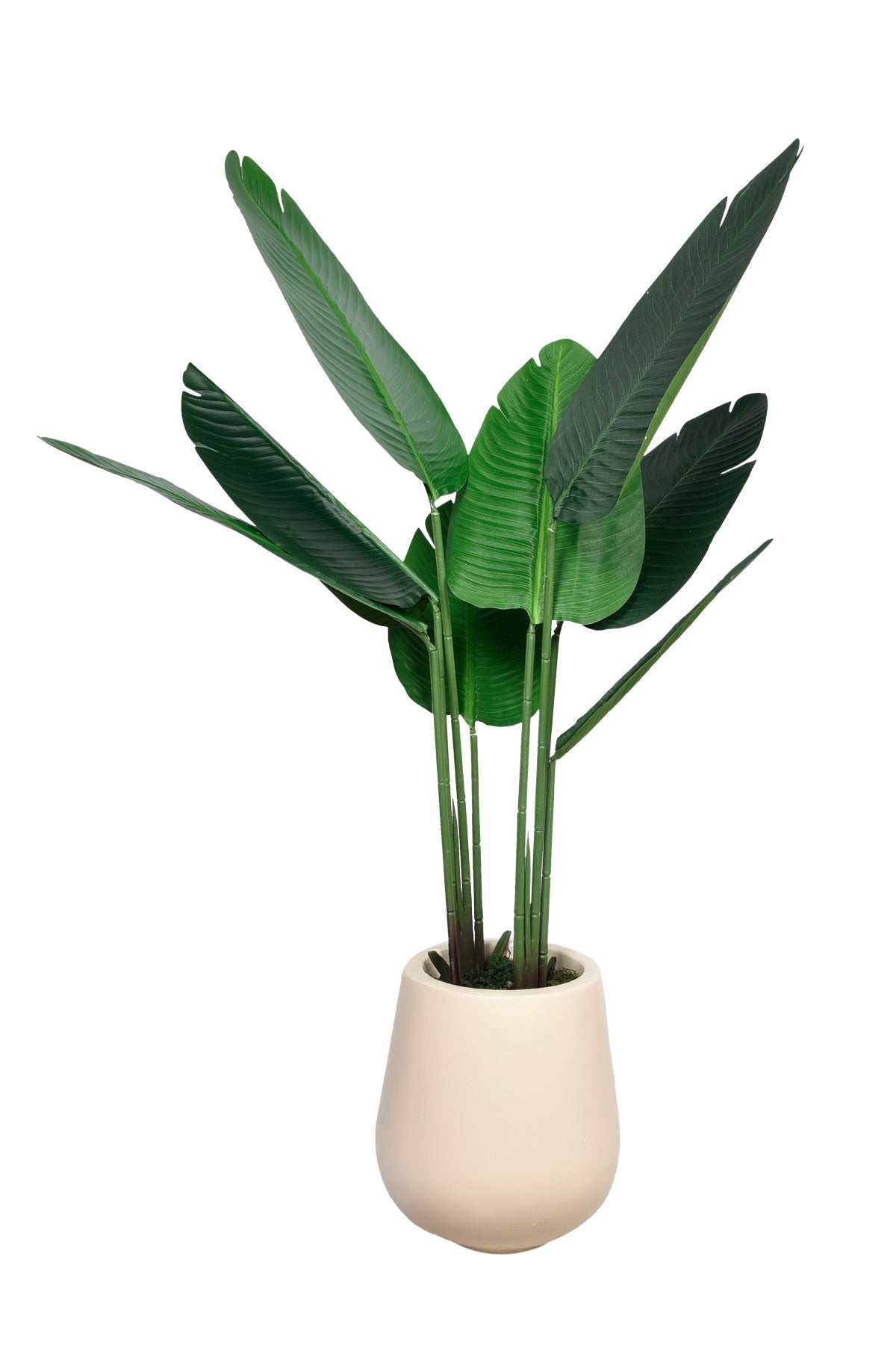 Artificial Travellers Palm Buy 1 Take 1
