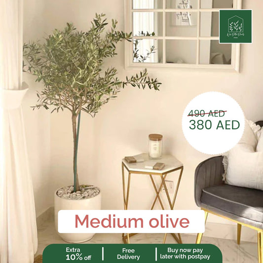 Olive Tree Medium