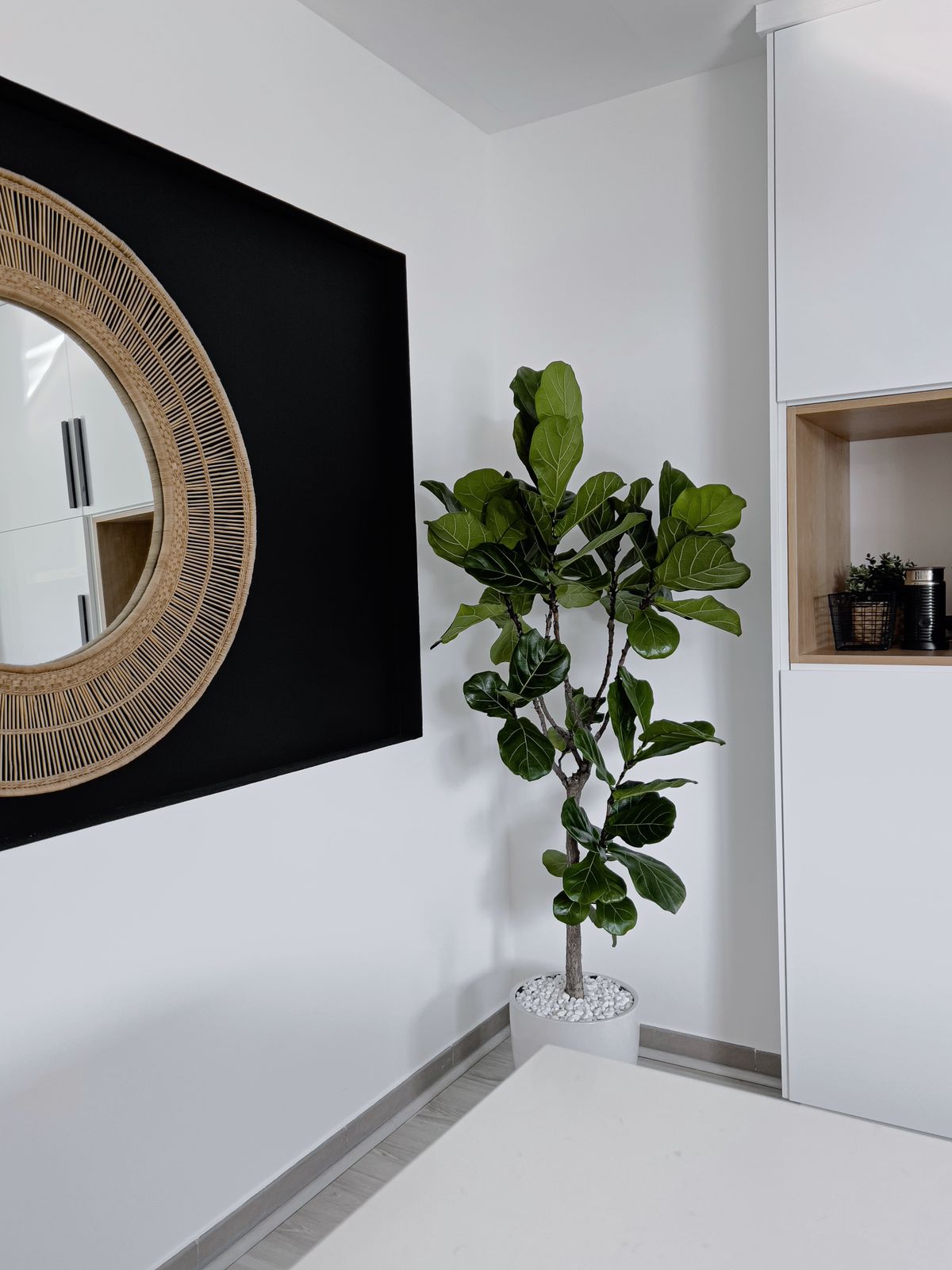 Office Plant Fiddle Big|160-180cm