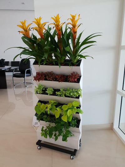Vertical Garden with Plants