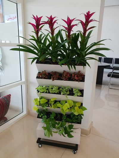 Vertical Garden with Plants