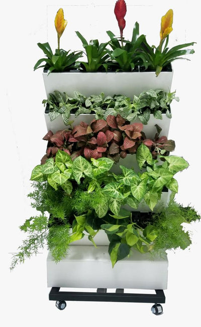 Vertical Garden with Plants