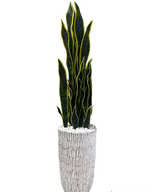 Artificial Snakeplant