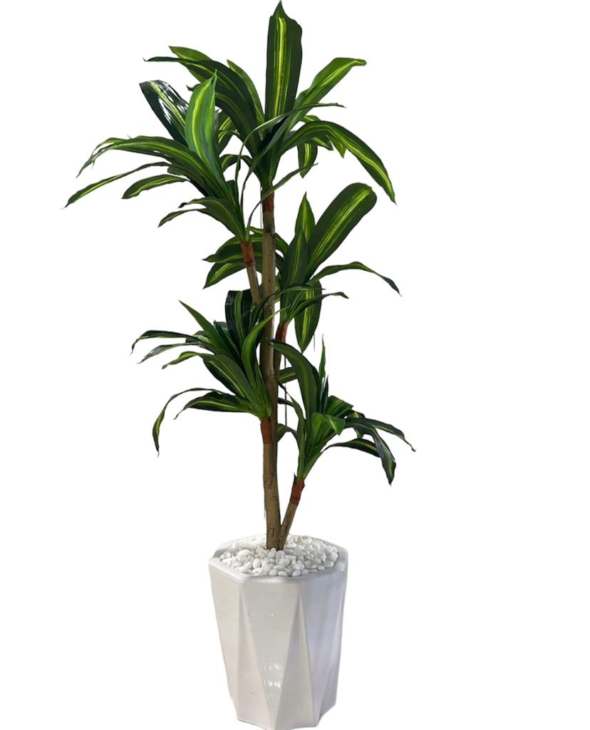 Artificial Dracaena in Ceramic Pot