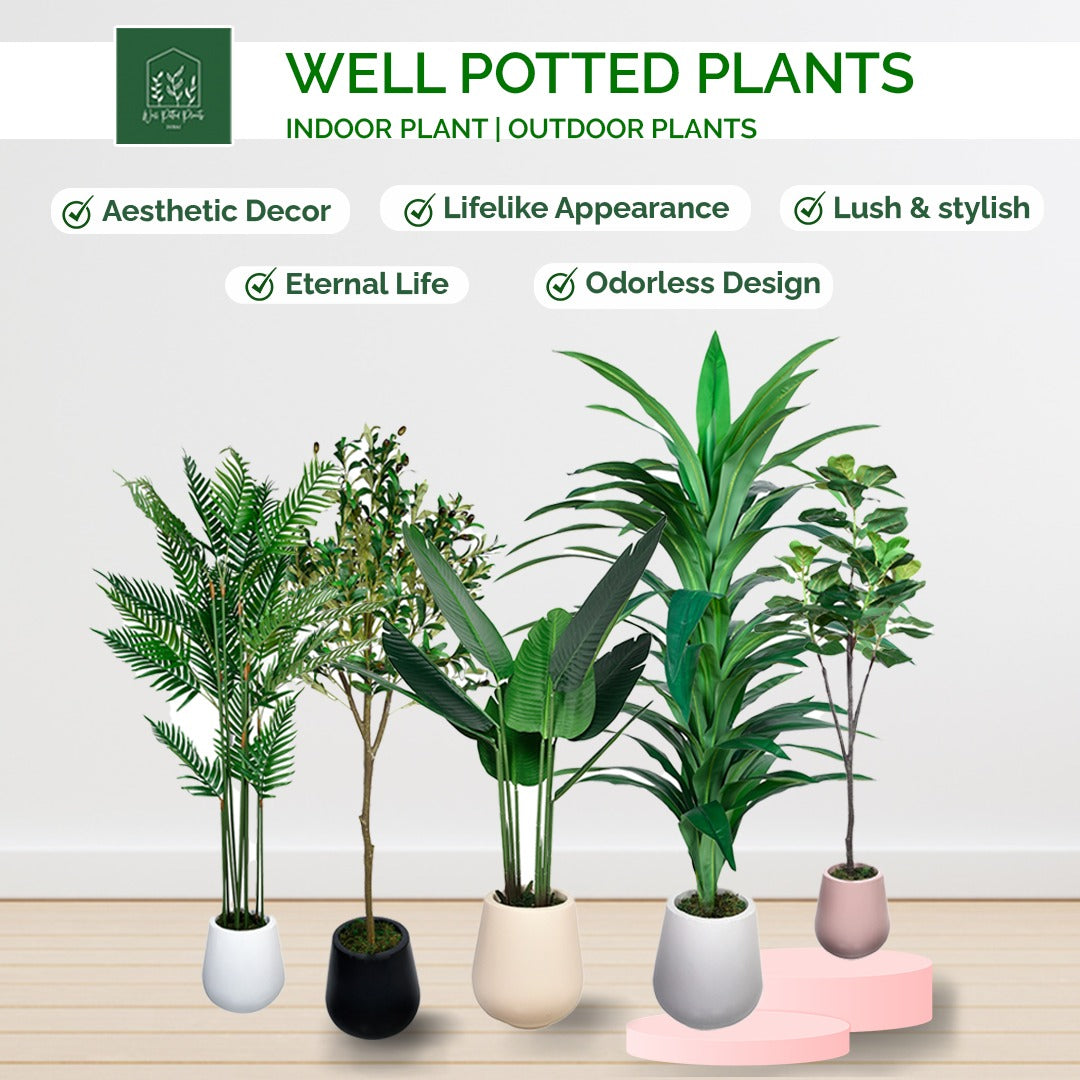 Artificial Plants Bundle of 5pcs