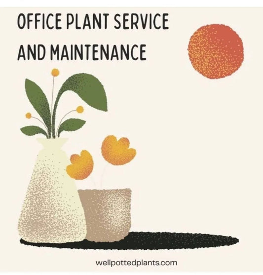 Plant Maintenance(single visit)