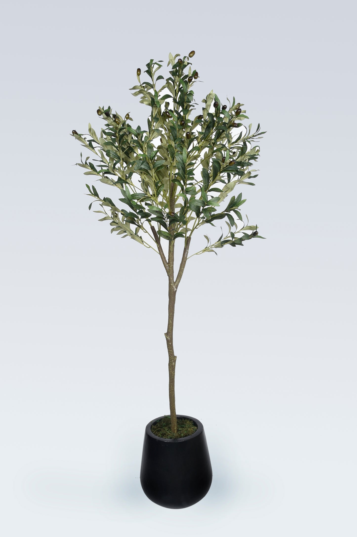 Artificial Olive in Fiber Pot